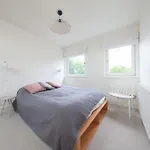 Beautiful And Spacious In South Circular Rd Feriehus Dublin